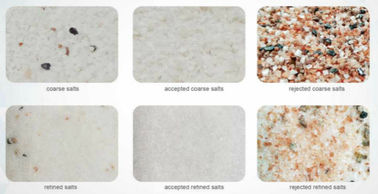 Salt Processing Industrial Color Sorter With Full Titanium Steel Machine Body