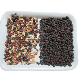 High Efficiency Optical Color Sorter For Walnut / Pecan / Almond Classification