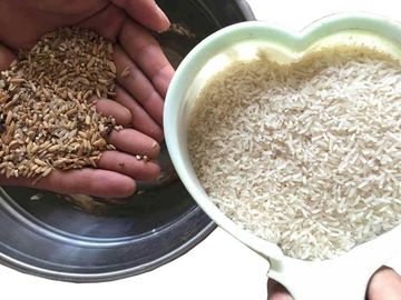 Automatic Intelligent Grain Color Sorter Machine With Excellent Rejection Rate