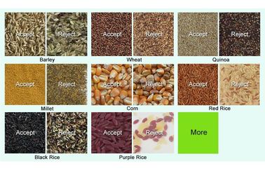 Pine Nut Optical Color Sorter With High Resolution CCD Image Acquisition System