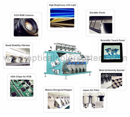 Optical Speckled Kidney 99.99% Bean Color Sorter