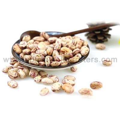 Intelligent Optical Kidney 4TPH Bean Color Sorter