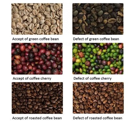 120L/Min 500kg/H Coffee Bean Optical Rice Color Sorter