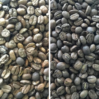 Six Chutes Coffee Bean Color Sorter Intelligent CCD Bean Color Sorter Machine