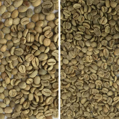 Six Chutes Coffee Bean Color Sorter Intelligent CCD Bean Color Sorter Machine