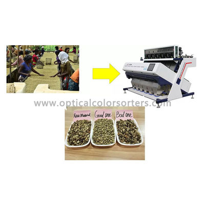 64 Channels Arabica And Robusta Coffee Beans Color Sorter