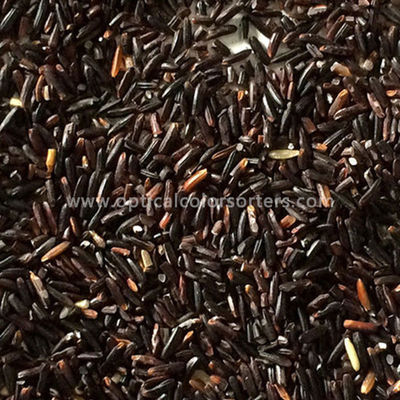 High Output CCD Rice Sorting Machine 8 Chute Intelligent Operation Interface