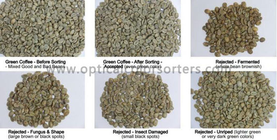 High Accuracy Green Coffee Bean Optical Sorting Machine With Cloud Interconnection System