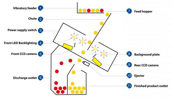 CCD Japan Camera Color Sorter Machine
