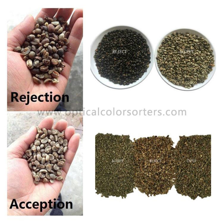 4096 Pixel 1.8KW 220V 50HZ Roasted Coffee CCD Color Sorter