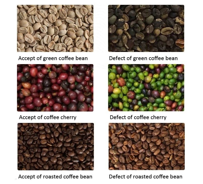 120L/Min 500kg/H Coffee Bean Optical Rice Color Sorter